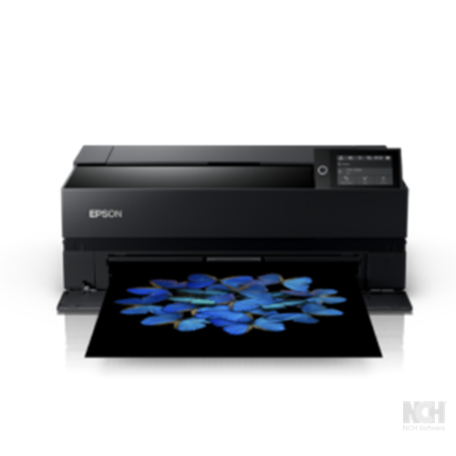 3 Epson SC-P903 - Image 1